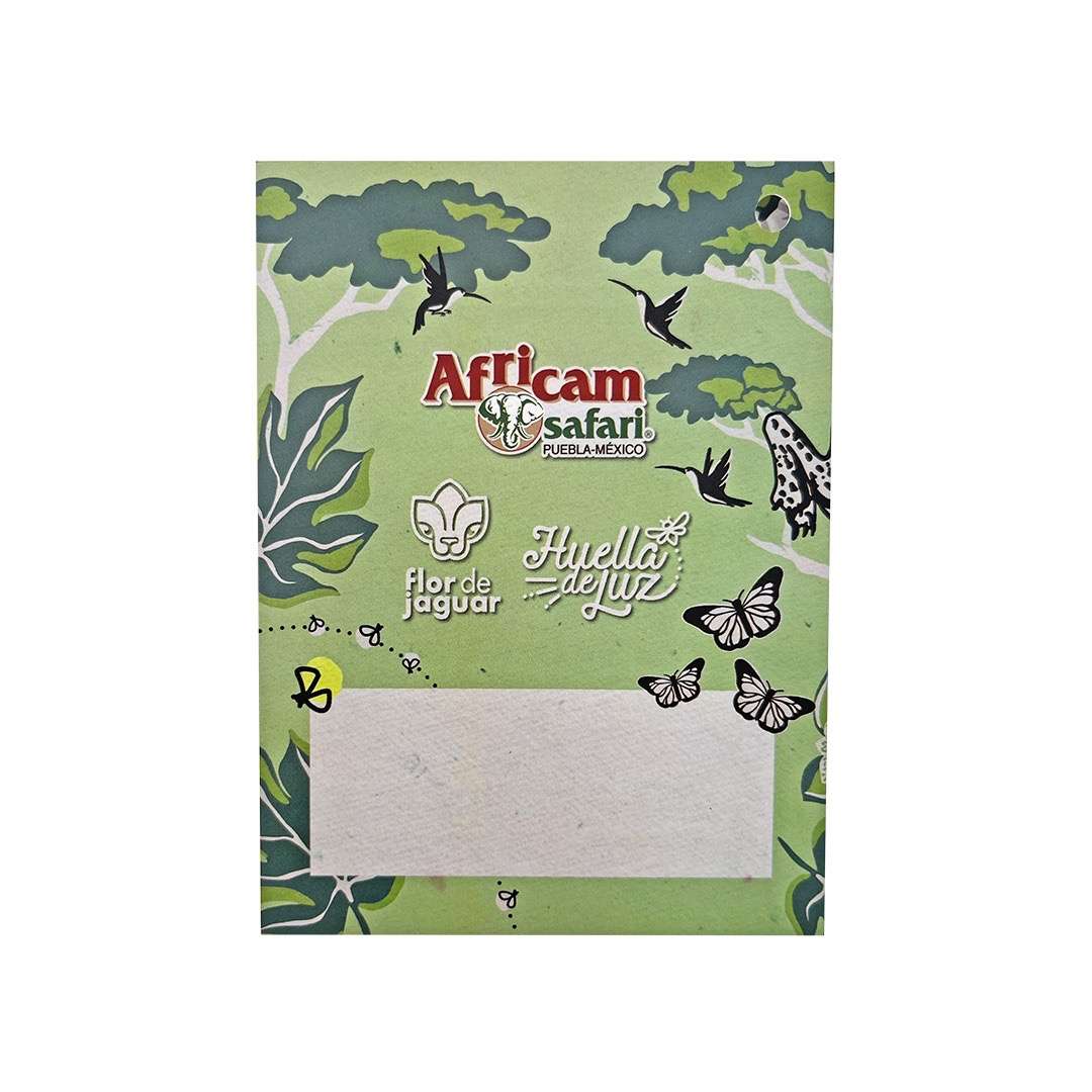 Pijama Infantil Aqua + Cuento de Dormir (1 pieza) - Imagen 5