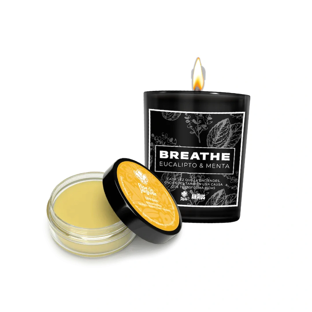 Kit Claridad y Fuerza